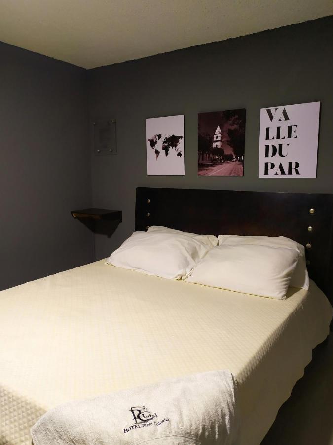 Hotel Plaza Colonial バジェドゥパル エクステリア 写真